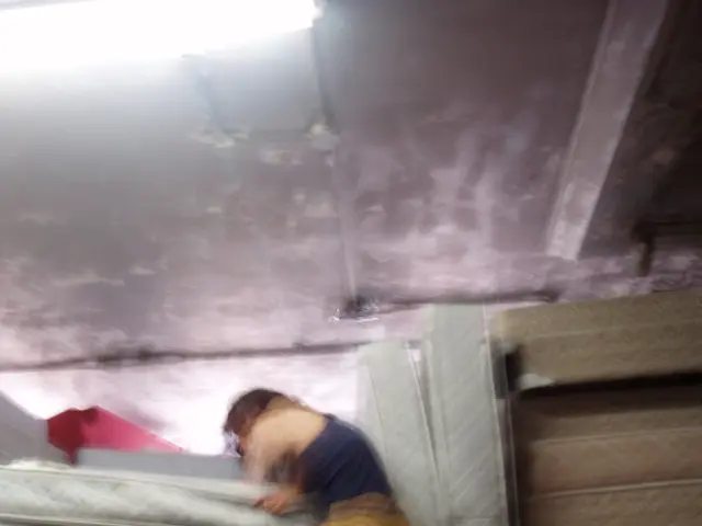 Exceptional Local Mattress Disposal: An Unforgettable Journey