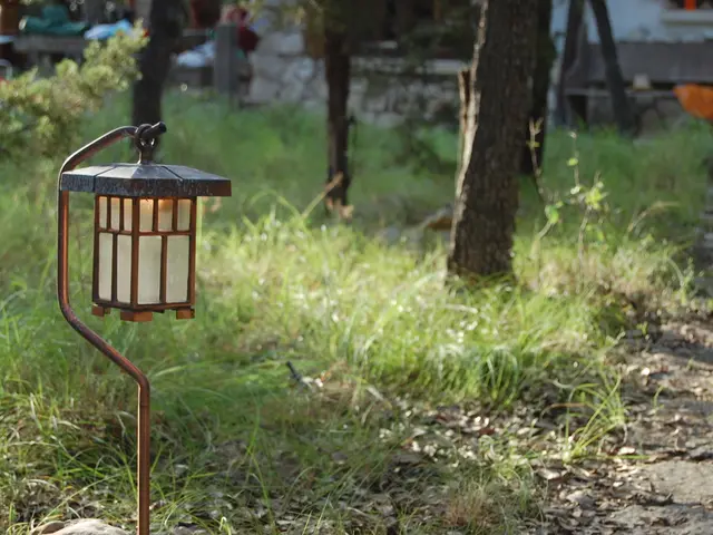 Top-Notch Garden Kickstarters: 12 Premium Grow Light Seed Starter Sets that Make Growing Easy Peasy