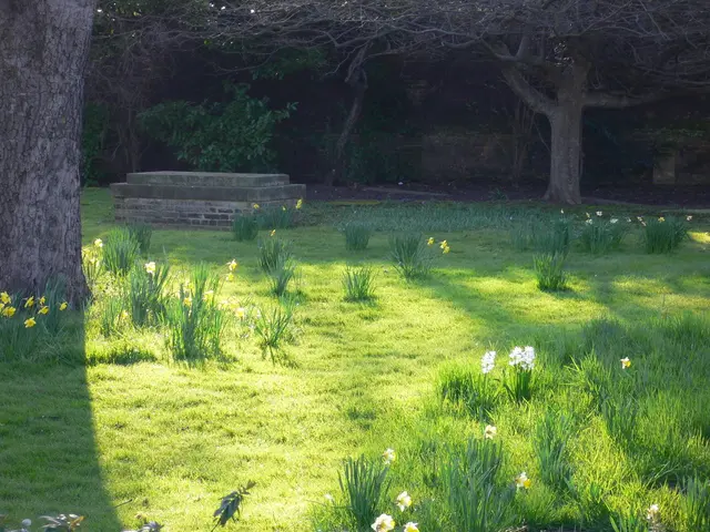 Landscaping Innovations: 9 Garden Partitions to Achieve a Feeling of Separate Outdoor Spaces