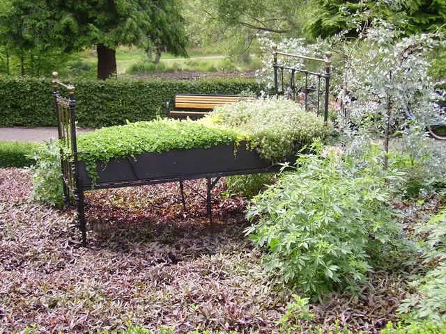 Seven Perennial Clinging Vines - For Consistently Attractive Surfaces All Year Long