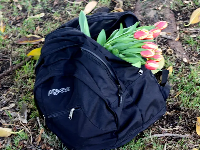 Transporting Plants Safely: Maintain Soil Integrity During Delivery