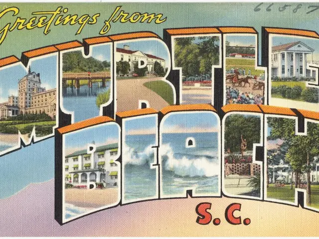 Supports Constructing Coral for Enthusiasts