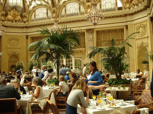 Urban resting spots in the bustling city of blooms