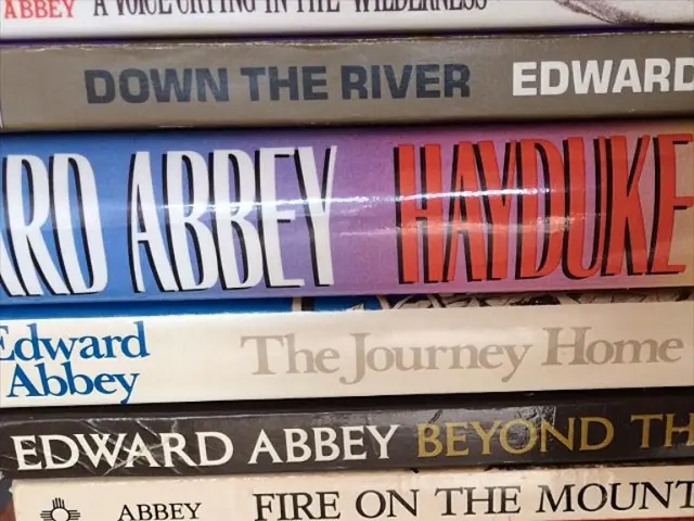 Originating Ideas for Children's Illustrated Books: The Hidden Sources of Inspiration ( Initial...