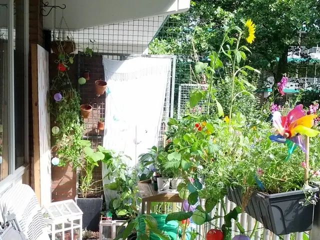 Gardens' Dawn Songs: Insights into our Society, Climate, and Past Revealed