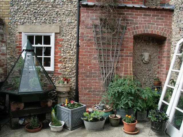 Basil Propagation Techniques: Uncovering the Optimal Approaches for Achieving Growth Success