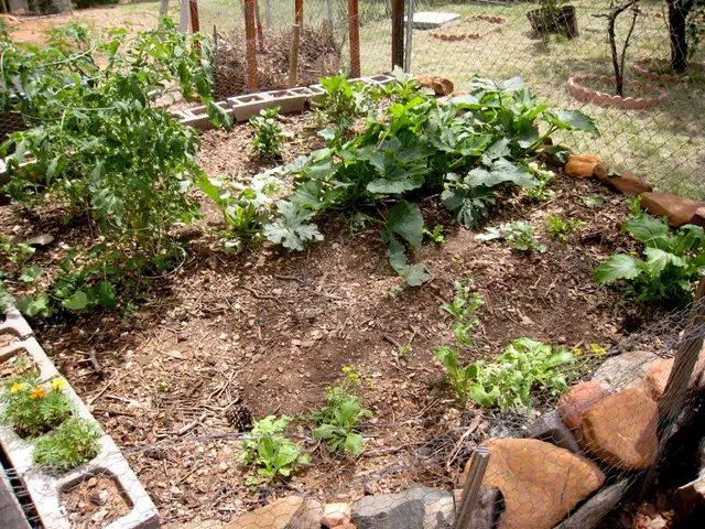 "Learn the Easy Way to Multiply Pothos: Follow This Detailed Procedure"