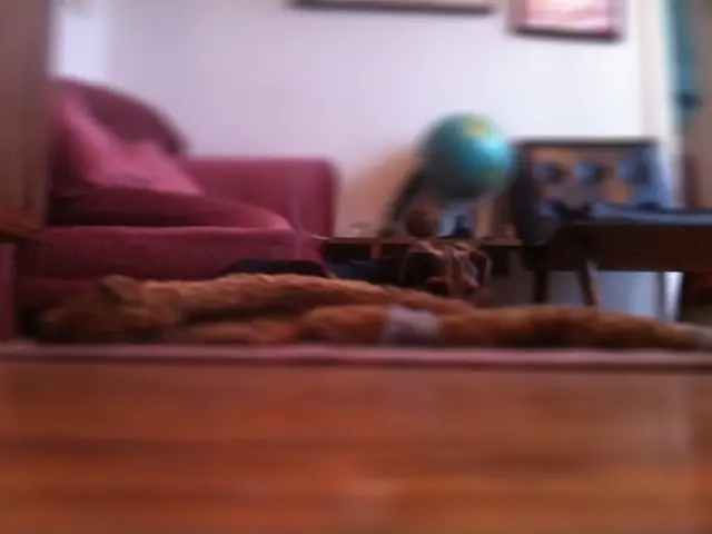 Top-Notch HDR Effect Lightroom Templates for Shutterbugs in the Year 2025