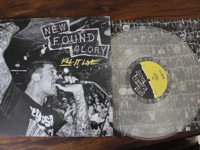 Repair and Safeguard Vinyl Records from Deformations Effortlessly