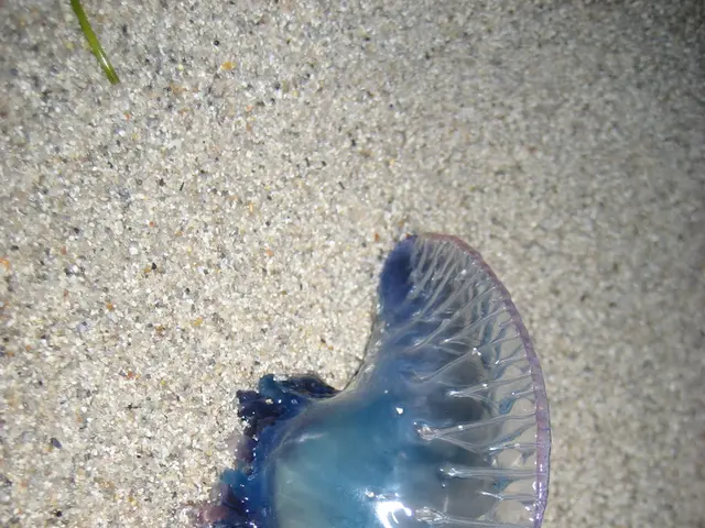 Efficient Techniques for Warding Off Pests in Your Flower Bed Without Chemicals