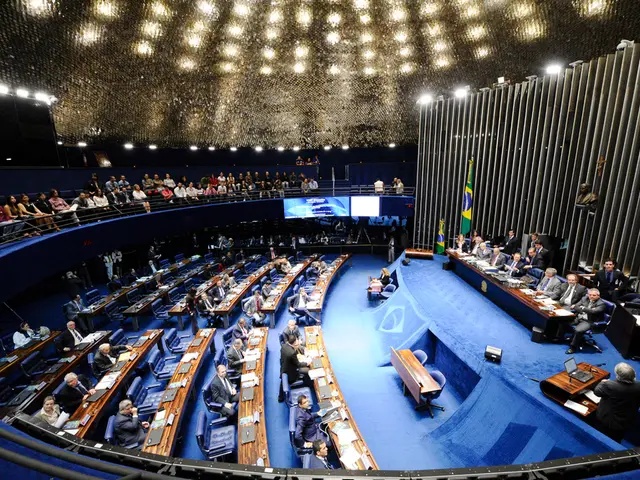 "Privileged Film Screening at Schlossberg's Municipal Cinema on the 20th, dubbed as 'Tunnel...