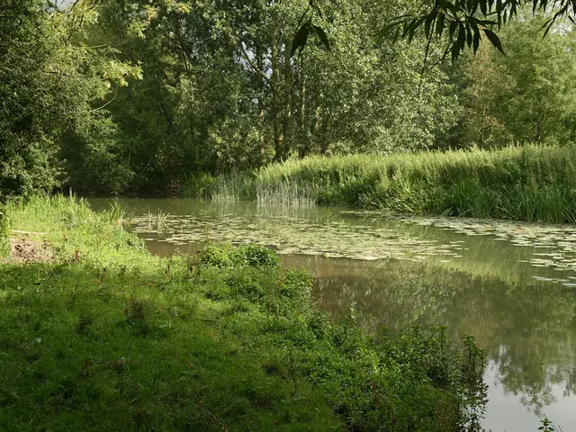 Garden Temperature Drop in Lorscher Klosterwiese