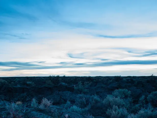 In the wilderness experience, I've learned the importance of carrying a tampon at all times; I...