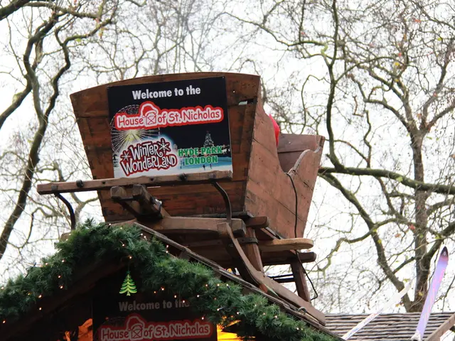 Unconventional timber residence in Germany defies architectural conventions