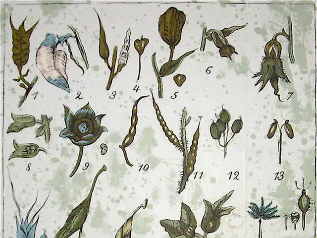 Transforming Your Garden into a Captivating Oasis in 5 Simple Steps