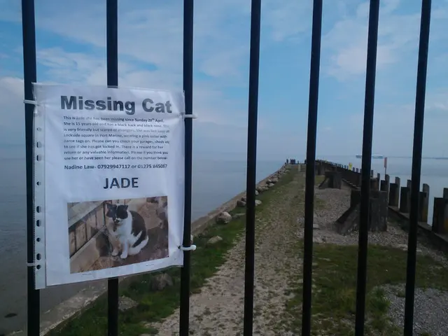 Cost Comparison: Gas vs Electric Water Heaters - Expenses, Lifespans, and Energy Efficiency