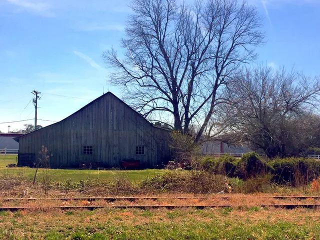 Exploring independent hiking excursions for novice wilderness wanderers: 5 off-trail journeys