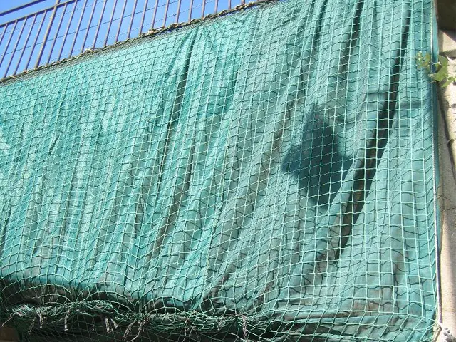 Reinventing Outdoor Areas through Resilient Wall Paneling