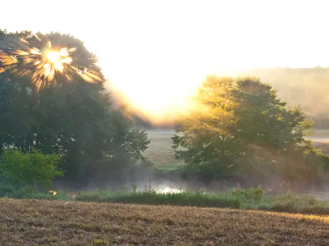 Soil Preservation and Life Support by Vegetation: An Unmatched Ability