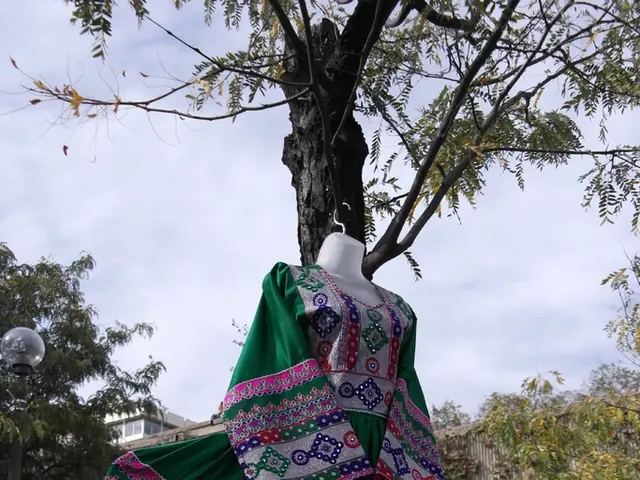 Lost wedding gown discovered - bride in search!