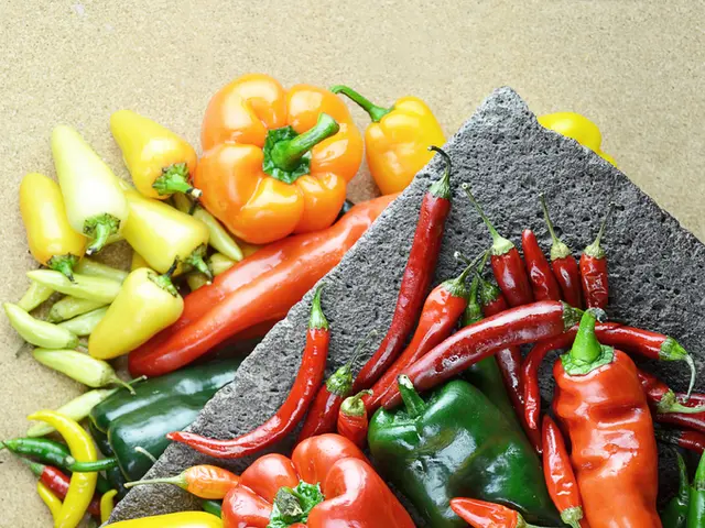 January Planting Guide: Recommendations for Plants to Sow in January