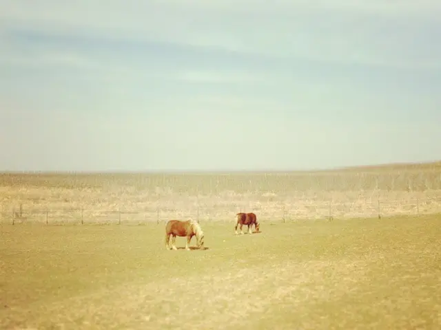 Urgent adjustments to animal care deadlines