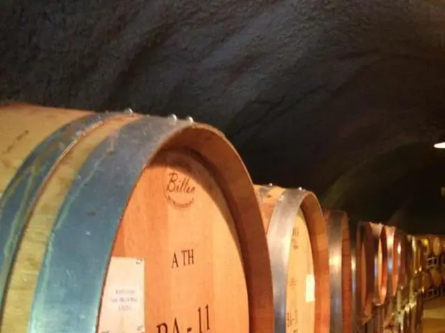 Tunnel at Abdul Razzaq Gate, a historic location, is almost ready for resumption of use following...