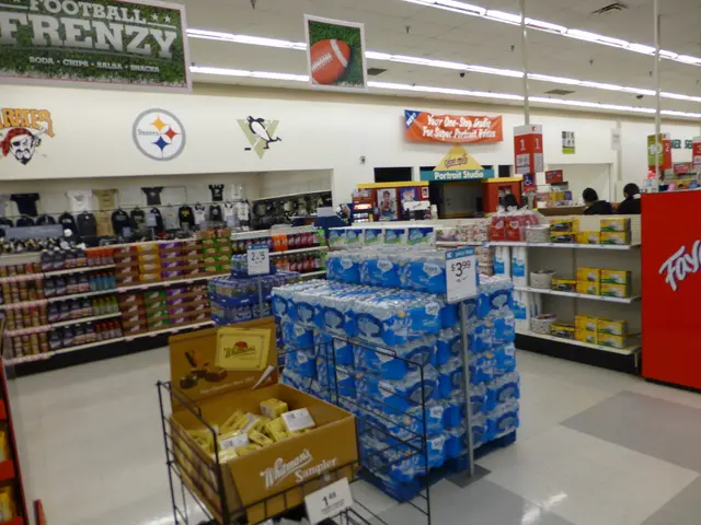 Resourceful Strategies for Frugality: Wise Individuals' Guidelines for Thrifty Living