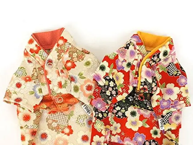 Holiday Essentials: 10 Stylish African-Themed Trends to Adorn