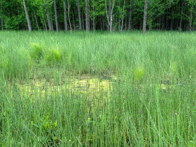 Outdoor Constructions Under Threat: Authorities Order For Immediate Demolition of Farmer's House...