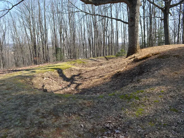 Landscaping Options: Attractive Substitutes for Mulch