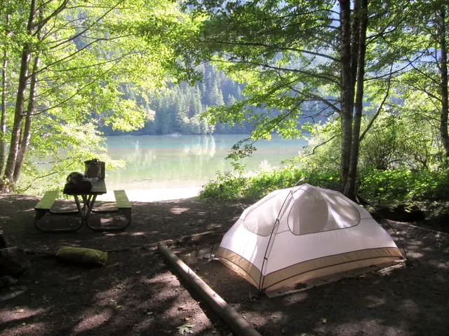 Affordable Camping Equipment from Costco Ideal for Campers Preferring Elevated Slumber Over the...
