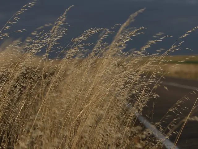 Guidelines to Eliminate Oil Stains from Your Driveway Using Common Household Items