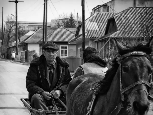 A black and white picture. Far there are bare trees and poles. These are houses with roof top. This...