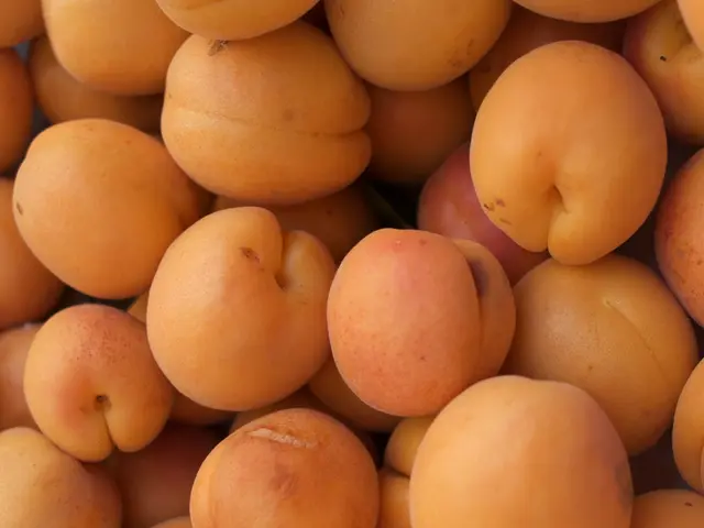 In the image I can see some fruits which are in orange color.