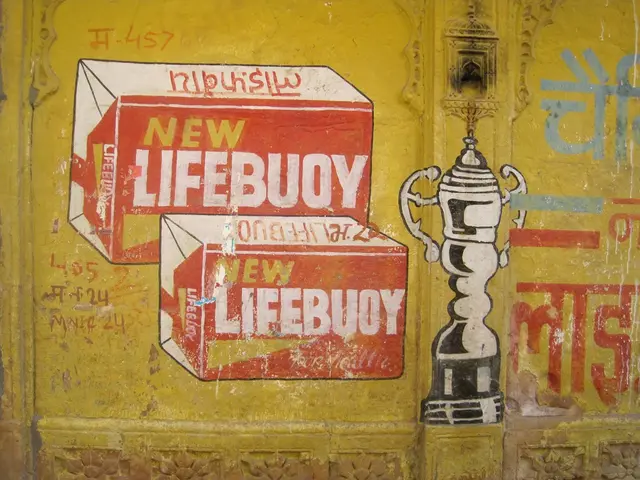 In this image I can see there is a painting of a soap in red color on the wall.