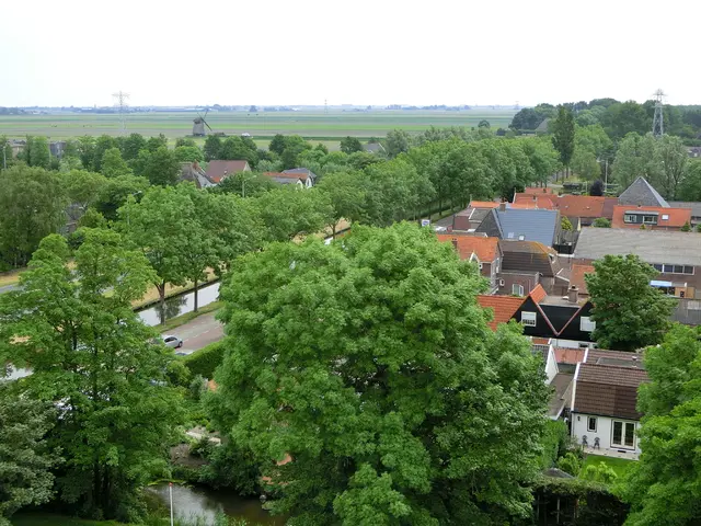 In this picture there are houses and trees in the image and there are cars on the road and there...