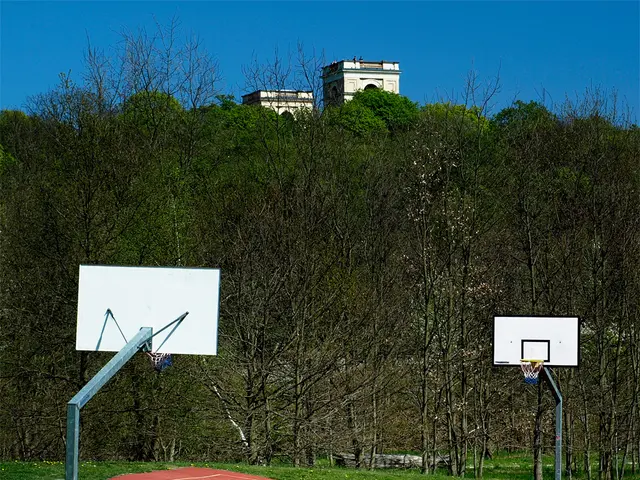 In this picture I can see there is a playground and there is grass around the playground. There are...