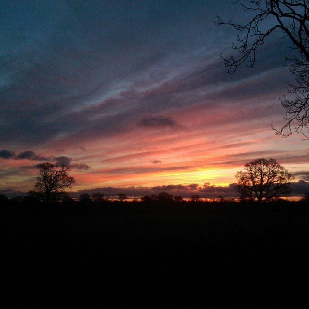 Pink toilet urinals accelerate women's bathroom visits, introducing a new innovation to this year's...