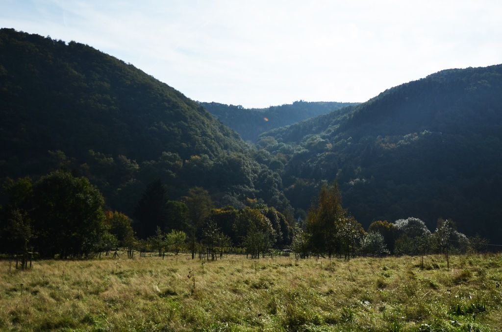 Competitors in Digital Gaming Tournaments