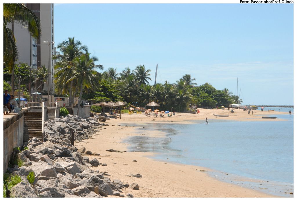Roaming Off: The Escapade of a Peacock from Karlsruhe Zoo, Leading to a Daring Rescue Operation by...